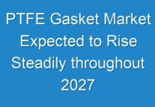 PTFE Gasket Market Expected to Rise Steadily throughout 2027