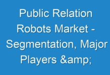 Public Relation Robots Market – Segmentation, Major Players & Geographical Analysis, 2027