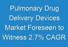 Pulmonary Drug Delivery Devices Market Foreseen to Witness 2.7% CAGR During 2019 – 2027