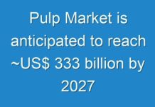 Pulp Market is anticipated to reach ~US$ 333 billion by 2027