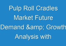 Pulp Roll Cradles Market Future Demand & Growth Analysis with Forecast up to 2030