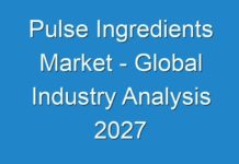 Pulse Ingredients Market – Global Industry Analysis 2027