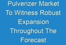 Pulverizer Market To Witness Robust Expansion Throughout The Forecast Period 2024-2027