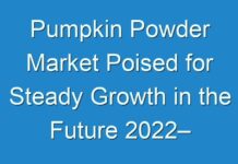 Pumpkin Powder Market Poised for Steady Growth in the Future 2024– 2030