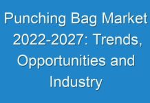 Punching Bag Market 2024-2027: Trends, Opportunities and Industry Projections