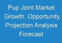 Pup Joint Market Growth, Opportunity, Projection Analysis Forecast Outlook 2025