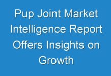 Pup Joint Market Intelligence Report Offers Insights on Growth Prospects 2024–2030