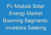 Pv Module Solar Energy Market Booming Segments; Investors Seeking Growth 2024 -2030