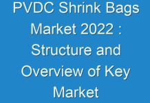 PVDC Shrink Bags Market 2024 : Structure and Overview of Key Market Forces Propelling Industry