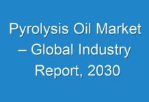 Pyrolysis Oil Market – Global Industry Report, 2030