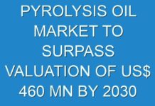 PYROLYSIS OIL MARKET TO SURPASS VALUATION OF US$ 460 MN BY 2030