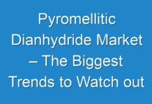 Pyromellitic Dianhydride Market – The Biggest Trends to Watch out for 2030