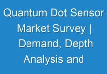 Quantum Dot Sensor Market Survey | Demand, Depth Analysis and Estimated Forecast 2024-2027