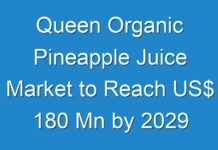Queen Organic Pineapple Juice Market to Reach US$ 180 Mn by 2029