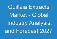 Quillaia Extracts Market – Global Industry Analysis, and Forecast 2027