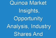 Quinoa Market Insights, Opportunity Analysis, Industry Shares And Forecast 2018-2026