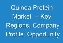 Quinoa Protein Market – Key Regions, Company Profile, Opportunity and Challenge