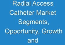 Radial Access Catheter Market Segments, Opportunity, Growth and Forecast by End-use Industry 2018-2028 |Ameco Medical, Angiodynamics, Inc., Boston Scientific Corporation,