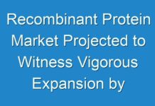 Recombinant Protein Market Projected to Witness Vigorous Expansion by 2031
