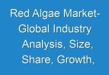 Red Algae Market- Global Industry Analysis, Size, Share, Growth, Trends, and Forecast, 2024-2030