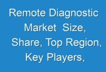 Remote Diagnostic Market Size, Share, Top Region, Key Players, Application,Status And Forecast 2017 – 2025