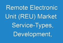 Remote Electronic Unit (REU) Market Service-Types, Development, Market Share, User-Demand, Industry Size 2019 – 2027
