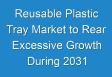 Reusable Plastic Tray Market to Rear Excessive Growth During 2031