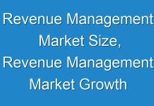 Revenue Management Market Size, Revenue Management Market Growth Rate, Revenue Management Market Top Players