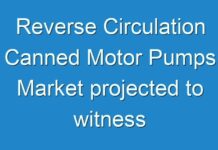Reverse Circulation Canned Motor Pumps Market projected to witness stunted growth at a value CAGR of 3.6% by the end of 2030