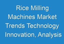 Rice Milling Machines Market Trends Technology Innovation, Analysis Application