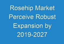 Rosehip Market Perceive Robust Expansion by 2019-2027