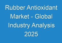 Rubber Antioxidant Market – Global Industry Analysis 2025