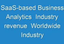 SaaS-based Business Analytics Industry revenue Worldwide Industry Analysis and New Market Opportunities Explored 2030
