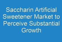 Saccharin Artificial Sweetener Market to Perceive Substantial Growth During 2031