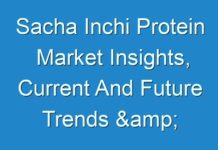 Sacha Inchi Protein Market Insights, Current And Future Trends & Forecast 2018-2028