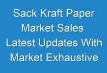 Sack Kraft Paper Market Sales Latest Updates With Market Exhaustive Survey And Demand Overview, Value And Volume 2016 – 2024