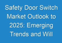 Safety Door Switch Market Outlook to 2025: Emerging Trends and Will Generate New Growth Opportunities Status