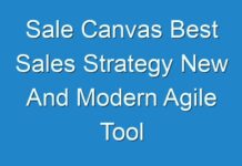 Sale Canvas Best Sales Strategy New And Modern Agile Tool
