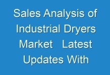 Sales Analysis of Industrial Dryers Market Latest Updates With Market Exhaustive Survey And Demand Overview, Value And Volume 2017 – 2025