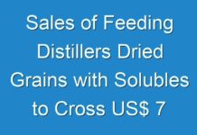 Sales of Feeding Distillers Dried Grains with Solubles to Cross US$ 7 Billion by 2028 end