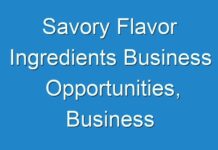 Savory Flavor Ingredients Business Opportunities, Business Opportunities Including Key Players, Regions, Applications