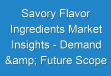 Savory Flavor Ingredients Market Insights – Demand & Future Scope Including Top Players forecast to 2030