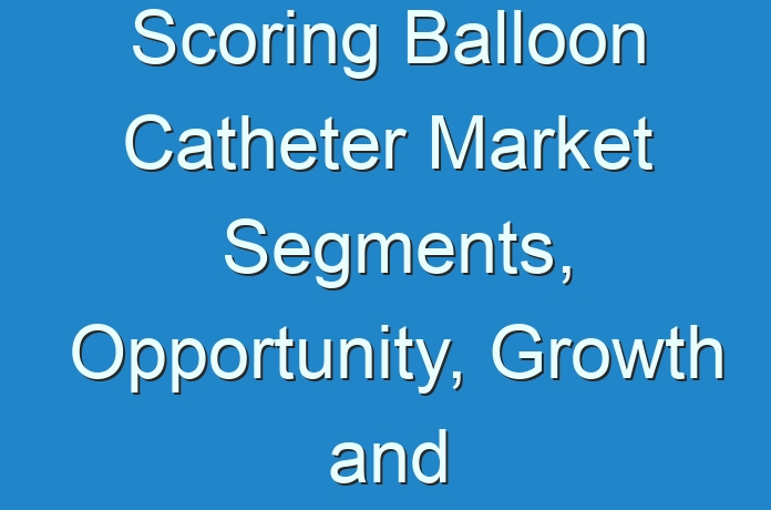 Scoring Balloon Catheter Market Segments, Opportunity, Growth and Forecast by End-use Industry 2017 – 2024