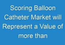 Scoring Balloon Catheter Market will Represent a Value of more than US$ 200 Mn by 2024 End