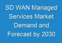 SD WAN Managed Services Market Demand and Forecast by 2030