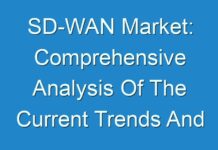 SD-WAN Market: Comprehensive Analysis Of The Current Trends And Inclinations, Along With The Future; TMR Analyzes Impact of COVID-19 on Market