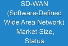 SD-WAN (Software-Defined Wide Area Network) Market Size, Status, Scope and Growth Prospects 2025