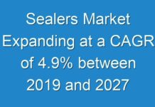 Sealers Market Expanding at a CAGR of 4.9% between 2019 and 2027