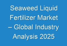 Seaweed Liquid Fertilizer Market – Global Industry Analysis 2025