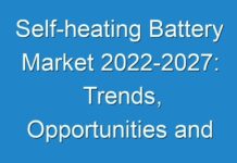 Self-heating Battery Market 2024-2027: Trends, Opportunities and Industry Projections – TMR